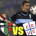 Палестино - Университад Католика